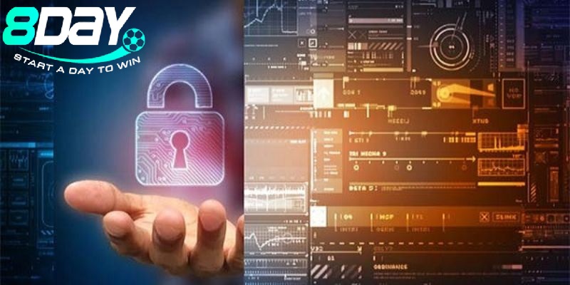 Thông Tin Nội Bộ Được Bảo Mật Tuyệt Đối Tại 8day.