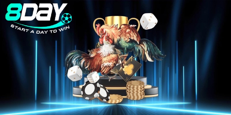 Đánh Giá Thực Tế Từ Thành Viên Tham Gia Đá Gà Mỹ 8day